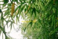 换汤不换药？米兰连续两个赛季联赛以先丢球开局